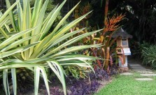Greenman Gardens Tropical Landscaping Kwikfynd